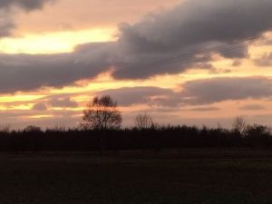 Wistow Field Sunset