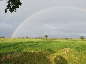 Wistow Field and Rainbow